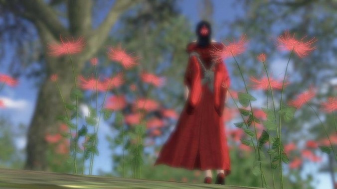 为什么网络上都在说隋坡厉害？